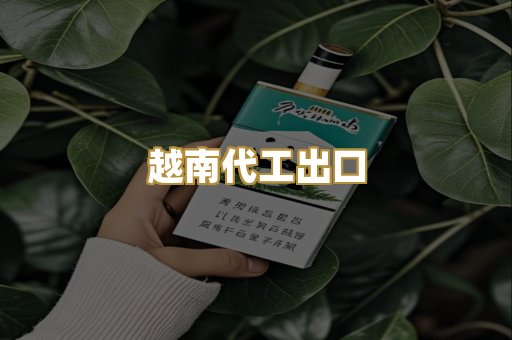 越南代工出口